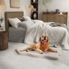 Orthopedic Dog Bed With Memory Foam Support For Large Dogs